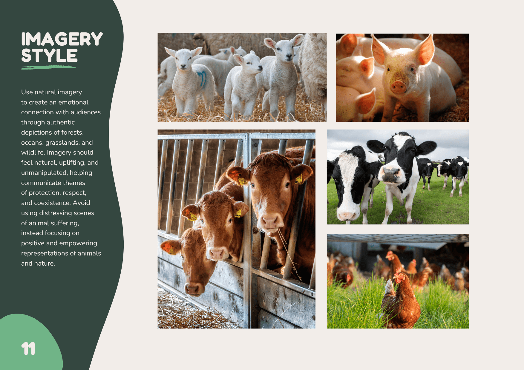 Humane-Choices-Brand-Book-13