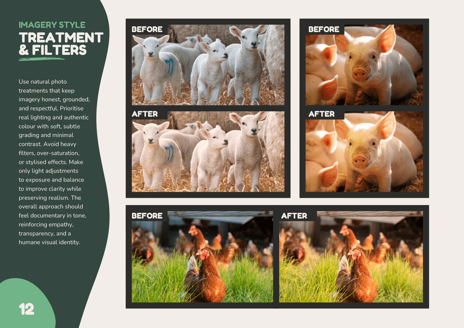 Humane-Choices-Brand-Book-14